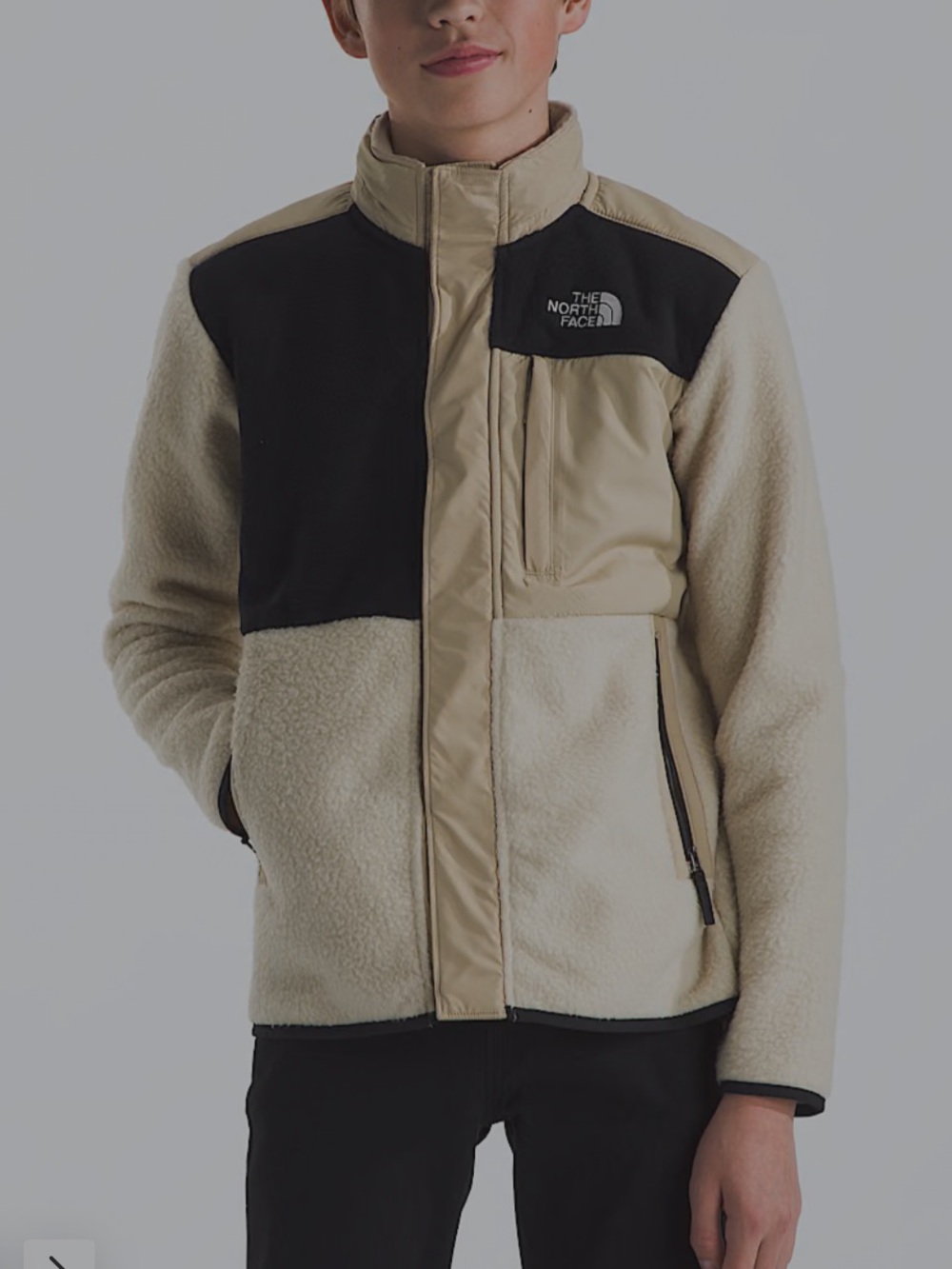 The North Face boys Forrest Fleece Performance Jacket
